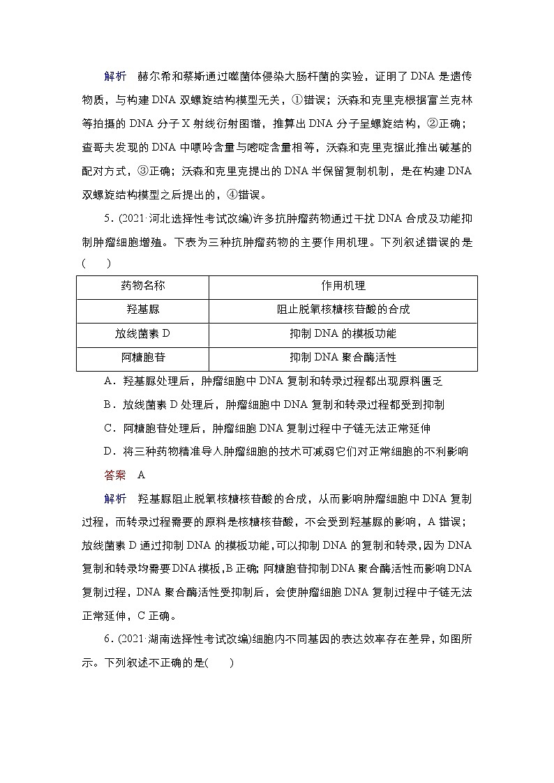 【最新版】23届生物新高考二轮专题复习之专题4　遗传的分子基础第3页