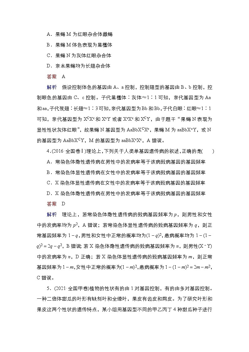 【最新版】23届生物新高考二轮专题复习之专题5　遗传的基本规律及人类遗传病第3页