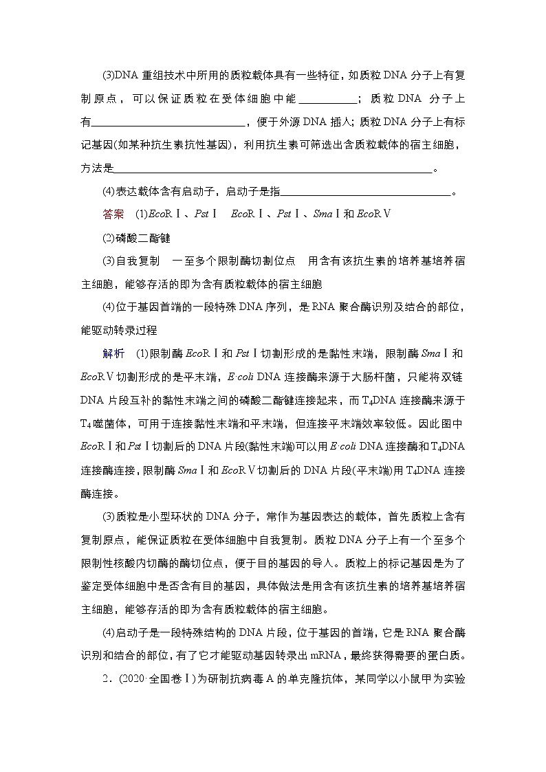 【最新版】23届生物新高考二轮专题复习之专题12　现代生物科技专题第2页