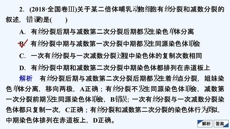 【最新版】23届生物新高考二轮专题复习之专题3　细胞的生命历程【同步课件】04