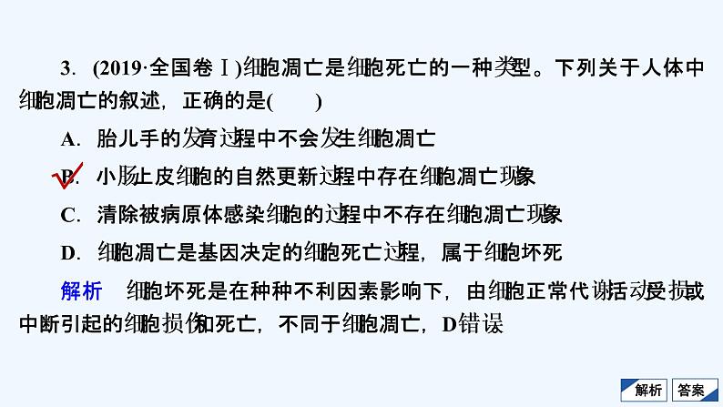 【最新版】23届生物新高考二轮专题复习之专题3　细胞的生命历程【同步课件】05