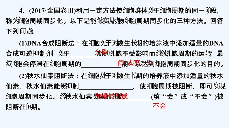 【最新版】23届生物新高考二轮专题复习之专题3　细胞的生命历程【同步课件】06