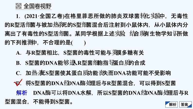 【最新版】23届生物新高考二轮专题复习之专题4　遗传的分子基础【同步课件】第3页