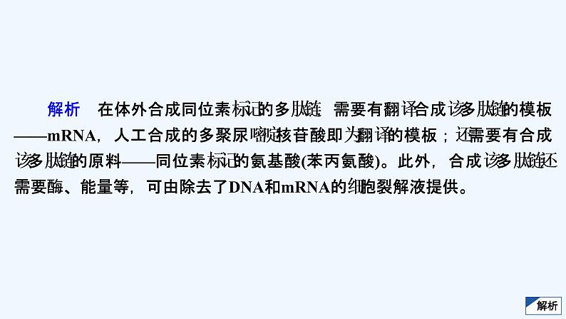 【最新版】23届生物新高考二轮专题复习之专题4　遗传的分子基础【同步课件】第5页