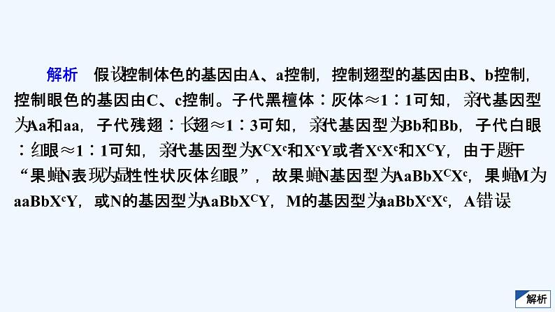 【最新版】23届生物新高考二轮专题复习之专题5　遗传的基本规律及人类遗传病【同步课件】第8页