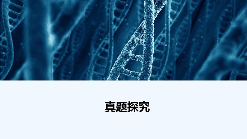 【最新版】23届生物新高考二轮专题复习之专题6　生物的变异、育种和进化【同步课件】第2页