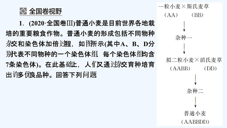 【最新版】23届生物新高考二轮专题复习之专题6　生物的变异、育种和进化【同步课件】第3页