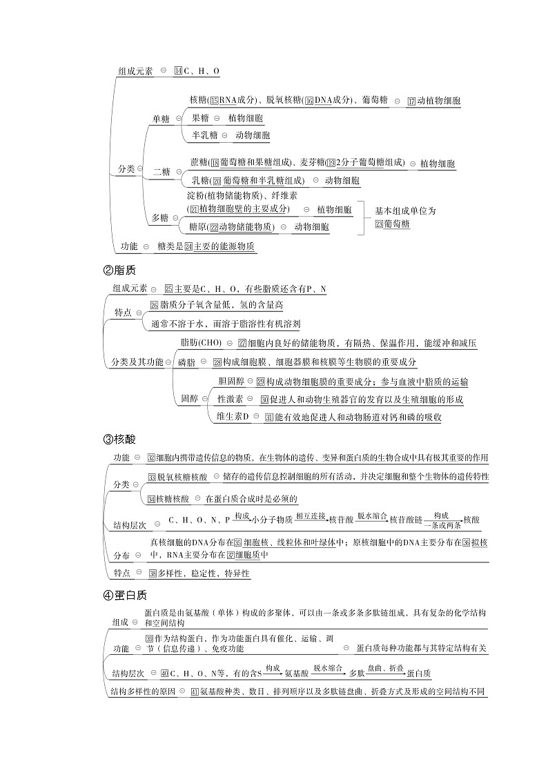 【最新版】23届生物新高考二轮专题总结+练习之专题1　细胞的分子组成及结构第2页