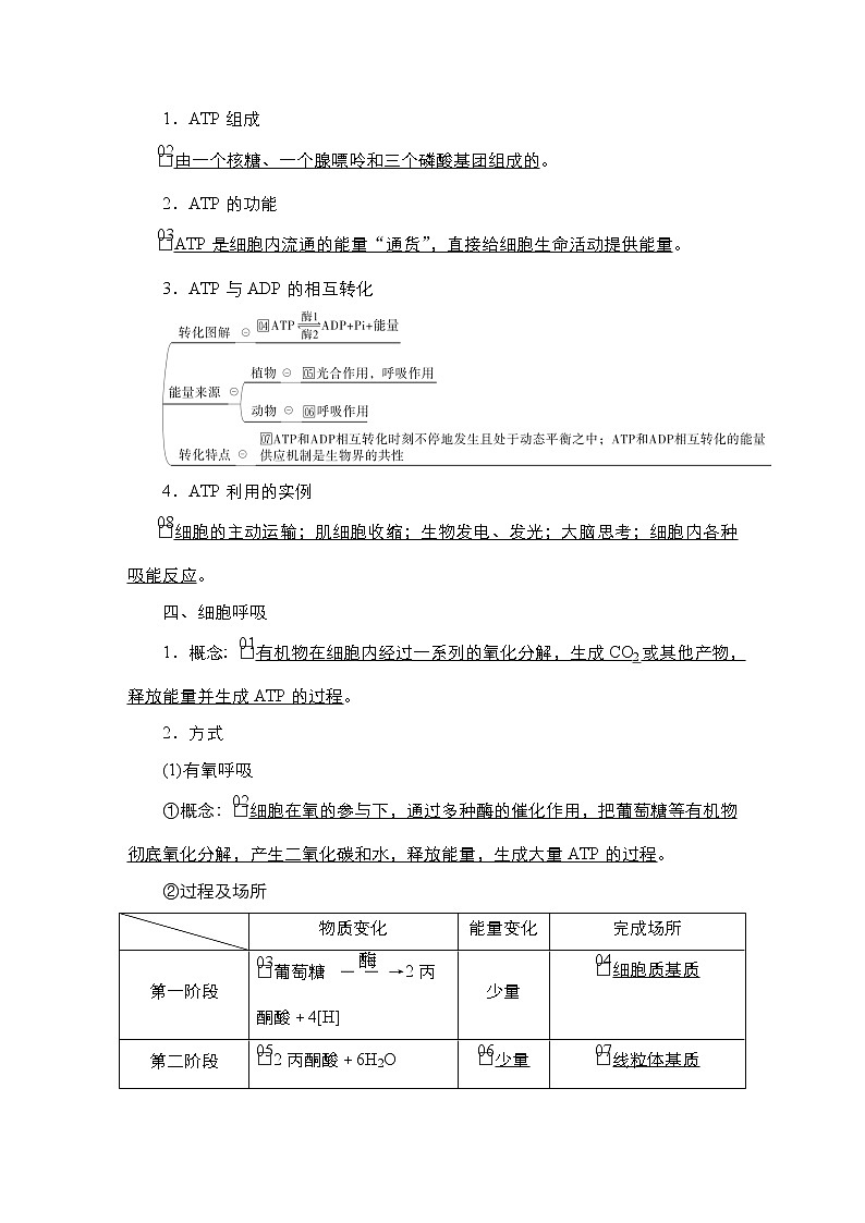 【最新版】23届生物新高考二轮专题总结+练习之专题2　细胞的代谢第3页