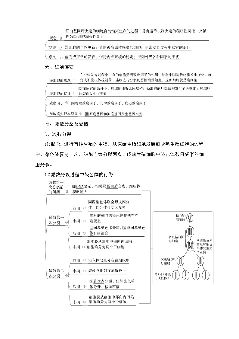 【最新版】23届生物新高考二轮专题总结+练习之专题3　细胞的生命历程第3页