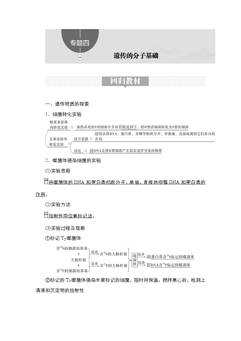 【最新版】23届生物新高考二轮专题总结+练习之专题4　遗传的分子基础第1页