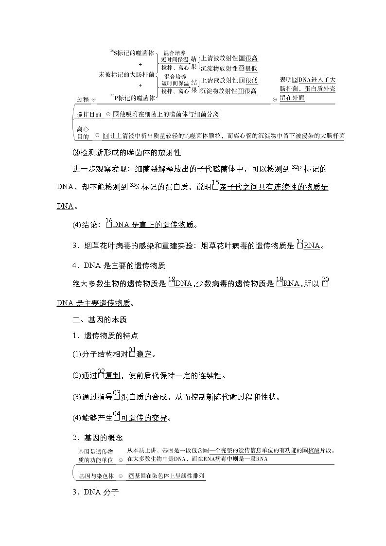 【最新版】23届生物新高考二轮专题总结+练习之专题4　遗传的分子基础第2页