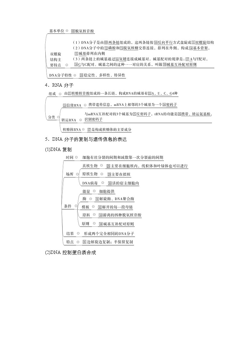 【最新版】23届生物新高考二轮专题总结+练习之专题4　遗传的分子基础第3页