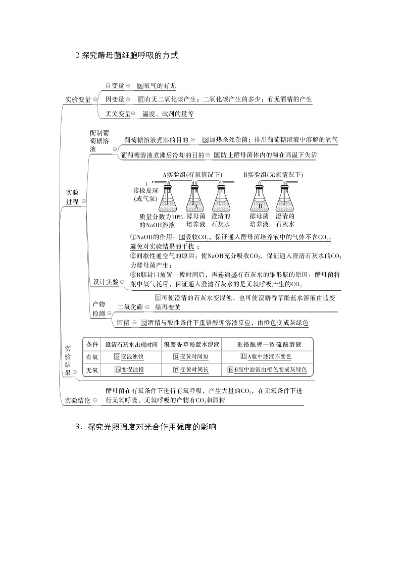 【最新版】23届生物新高考二轮专题总结+练习之专题10　实验与探究第3页