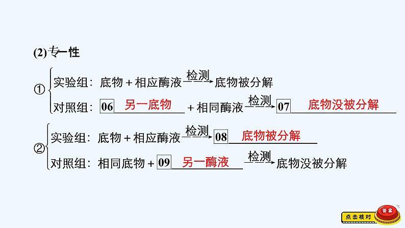 【最新版】23届生物新高考二轮专题总结+练习之专题2　细胞的代谢【同步课件】第7页