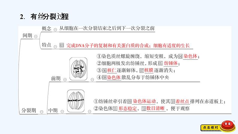 【最新版】23届生物新高考二轮专题总结+练习之专题3　细胞的生命历程【同步课件】第3页