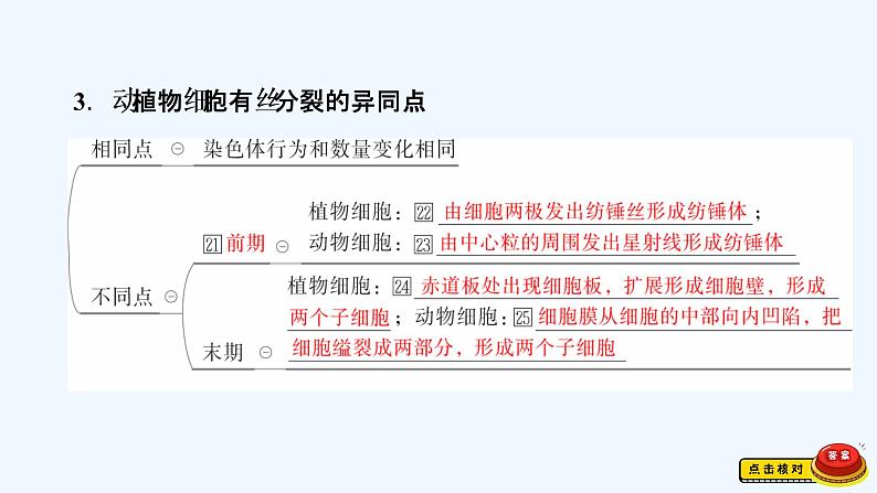 【最新版】23届生物新高考二轮专题总结+练习之专题3　细胞的生命历程【同步课件】第5页