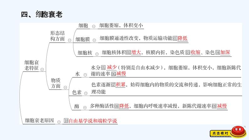 【最新版】23届生物新高考二轮专题总结+练习之专题3　细胞的生命历程【同步课件】第8页