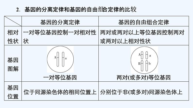 【最新版】23届生物新高考二轮专题总结+练习之专题5　遗传的基本规律及人类遗传病【同步课件】第3页