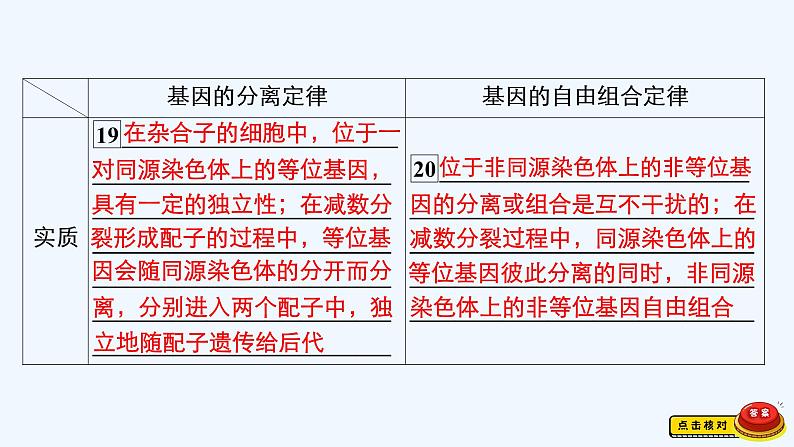 【最新版】23届生物新高考二轮专题总结+练习之专题5　遗传的基本规律及人类遗传病【同步课件】第5页