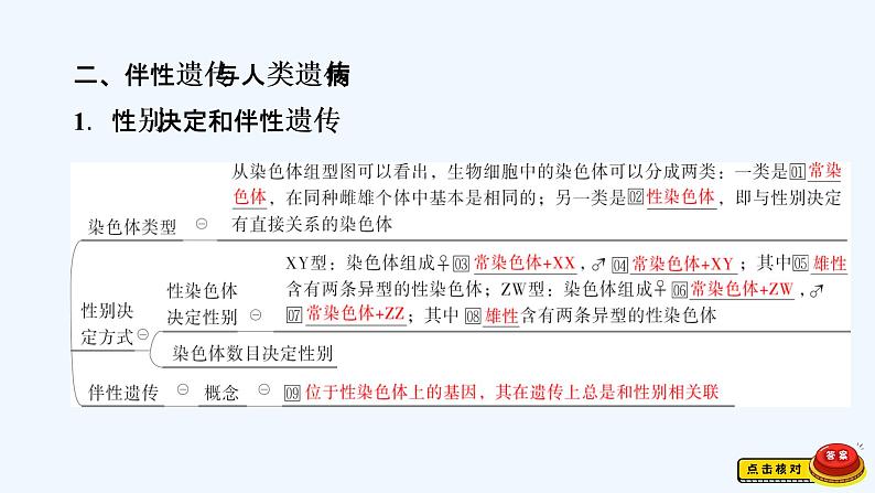 【最新版】23届生物新高考二轮专题总结+练习之专题5　遗传的基本规律及人类遗传病【同步课件】第6页