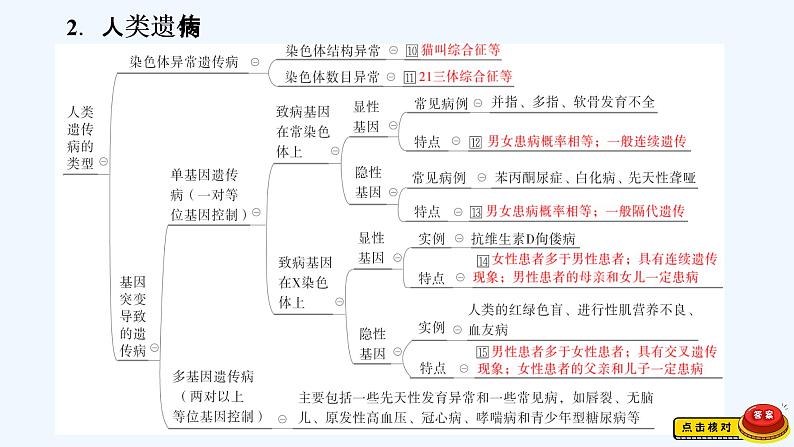 【最新版】23届生物新高考二轮专题总结+练习之专题5　遗传的基本规律及人类遗传病【同步课件】第7页