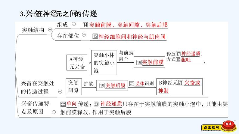 【最新版】23届生物新高考二轮专题总结+练习之专题7　人与动物生命活动的调节【同步课件】第5页