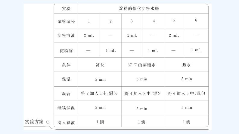 【最新版】23届生物新高考二轮专题总结+练习之专题10　实验与探究【同步课件】第3页