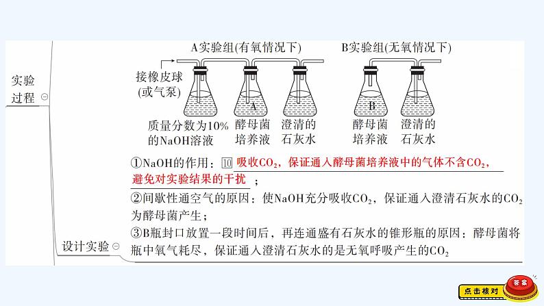 【最新版】23届生物新高考二轮专题总结+练习之专题10　实验与探究【同步课件】第6页