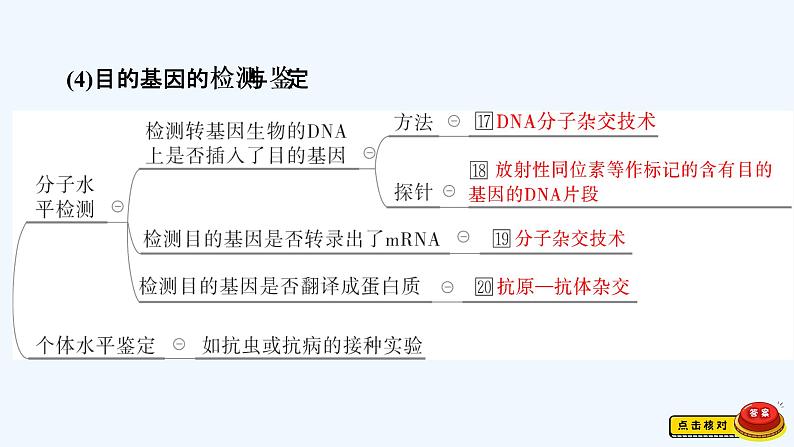 【最新版】23届生物新高考二轮专题总结+练习之专题12　现代生物科技专题【同步课件】第8页