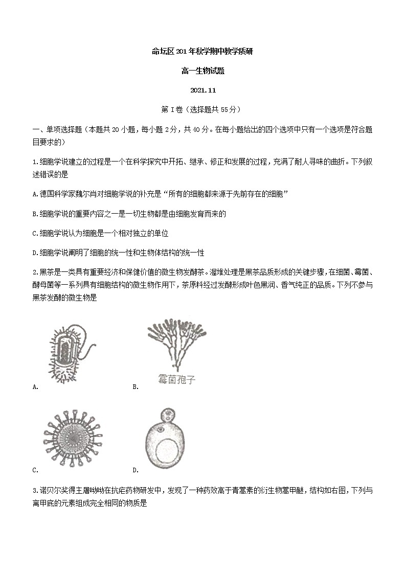 2022常州金坛区高一上学期期中生物试题Word含答案第1页