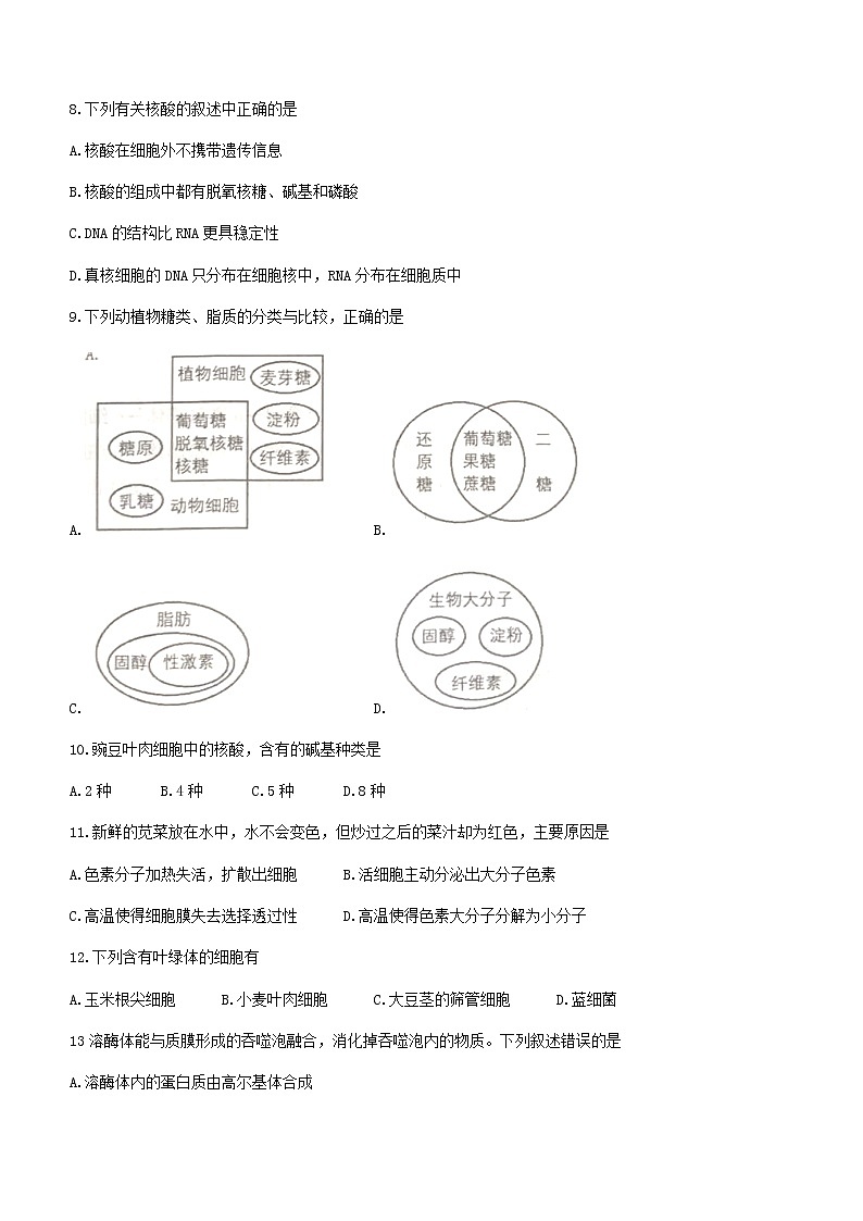 2022常州金坛区高一上学期期中生物试题Word含答案第3页