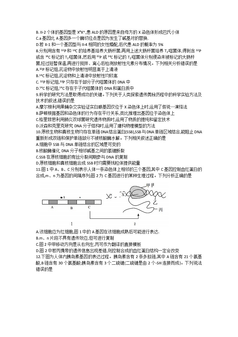 甘肃省张掖市某重点校2022-2023学年高三上学期期中检测生物试题第3页
