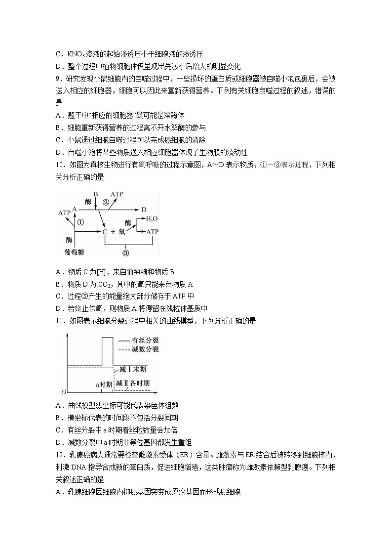 湖北省部分学校2022-2023学年高三生物上学期10月质量检测联考试卷（Word版附答案）03