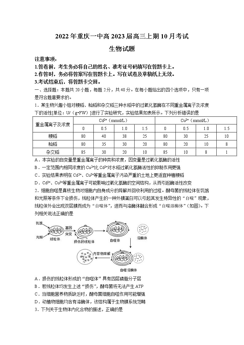 重庆市第一中学2022-2023学年高三生物上学期10月月考试题（Word版附答案）第1页