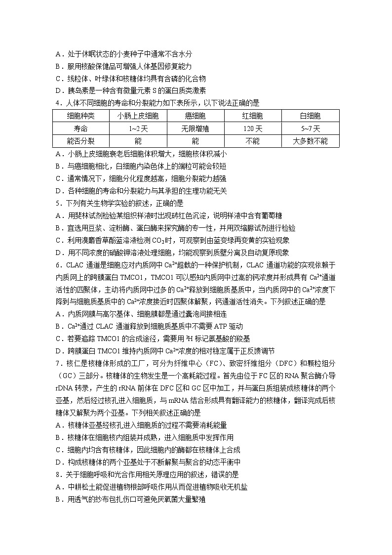 重庆市第一中学2022-2023学年高三生物上学期10月月考试题（Word版附答案）第2页