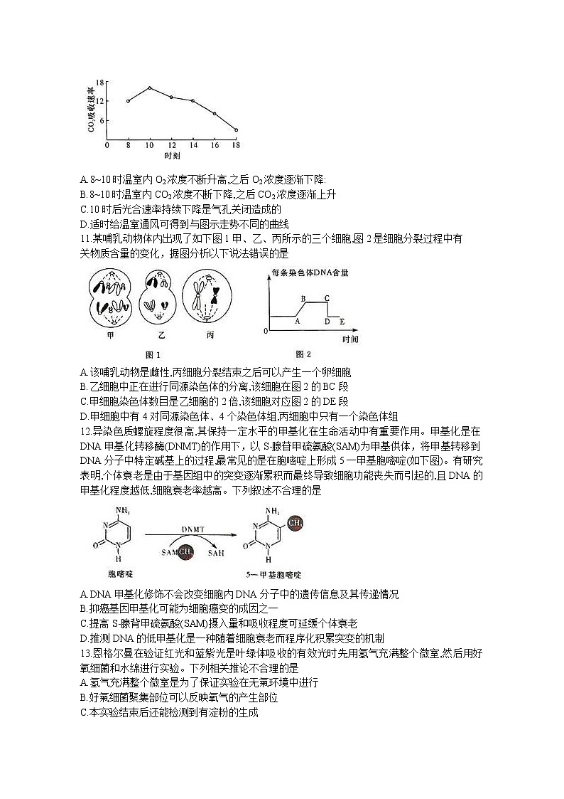 河南省湘豫名校联考2022-2023学年高三生物10月一轮复习诊断考试试题（Word版附答案）第3页