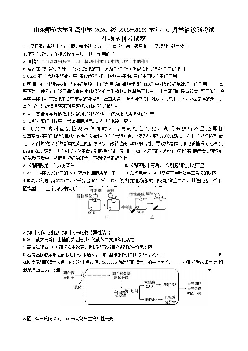 山东省济南市师范大学附属中学2023届高三生物上学期第一次月考试题（Word版附答案）第1页