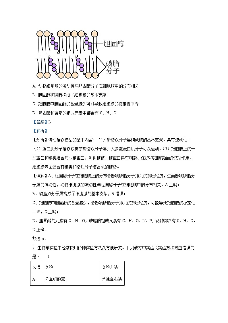 山西省忻州市2022-2023学年高三生物上学期第二次联考试题（Word版附解析）第3页