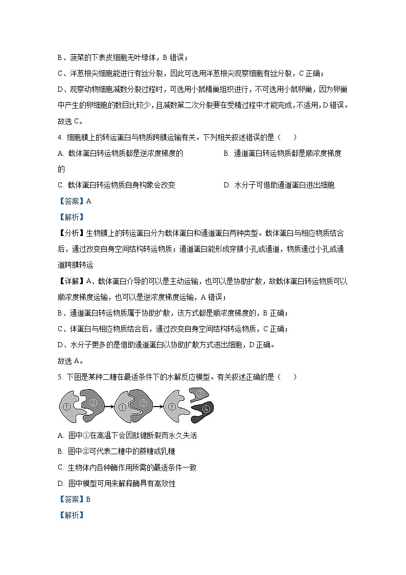 山西省2022-2023学年高三生物上学期第一次摸底考试试题（Word版附答案）第3页