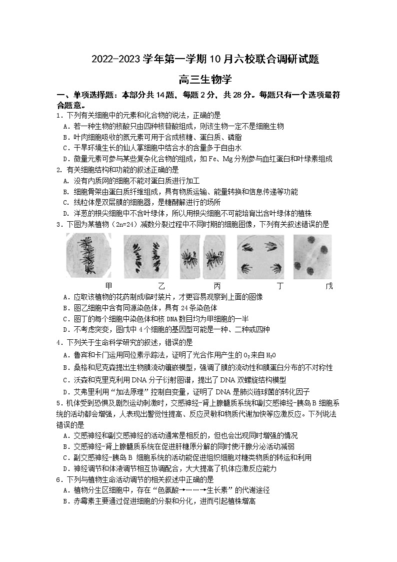 江苏省南京市六校联合体2023届高三生物上学期10月联合调研试题（Word版附答案）第1页