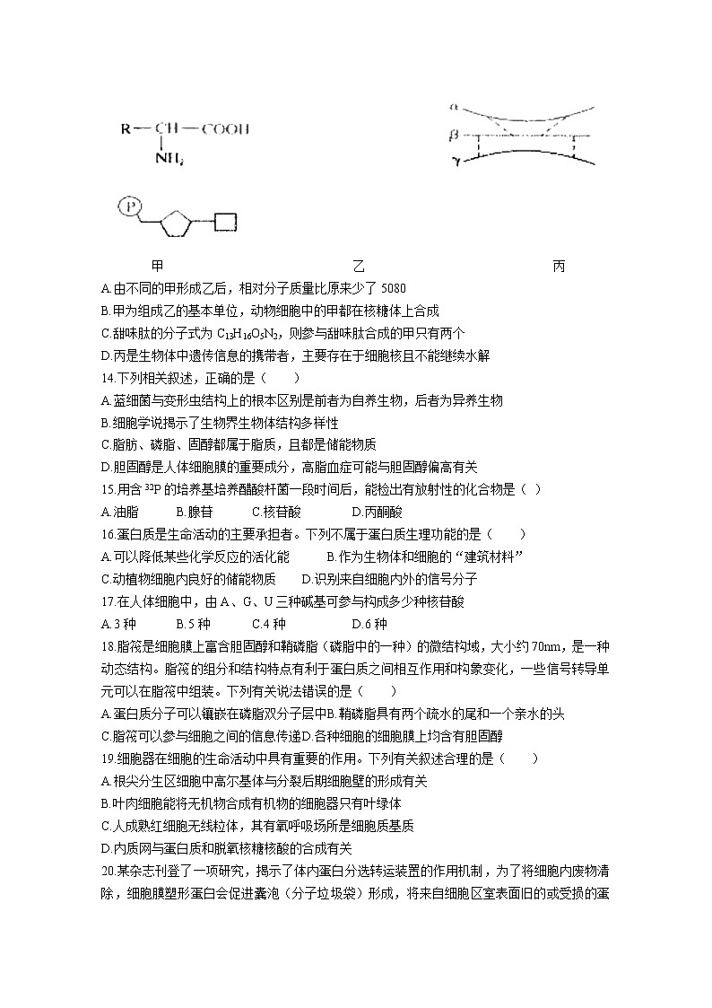 黑龙江省哈尔滨市第三中学2022-2023学年高三生物上学期第一次验收考试试题（Word版附答案）第3页
