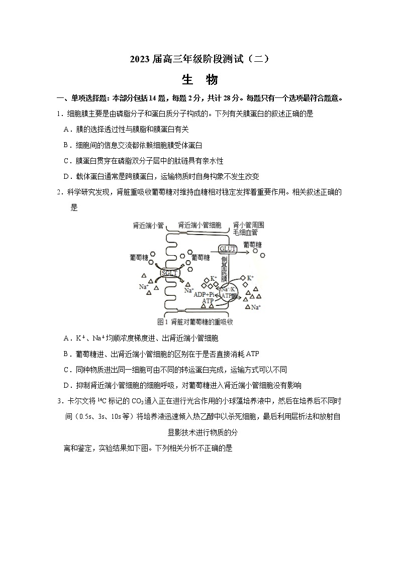 江苏省南通市海安高级中学2022-2023学年高三生物上学期第二次月考试题（Word版附答案）01