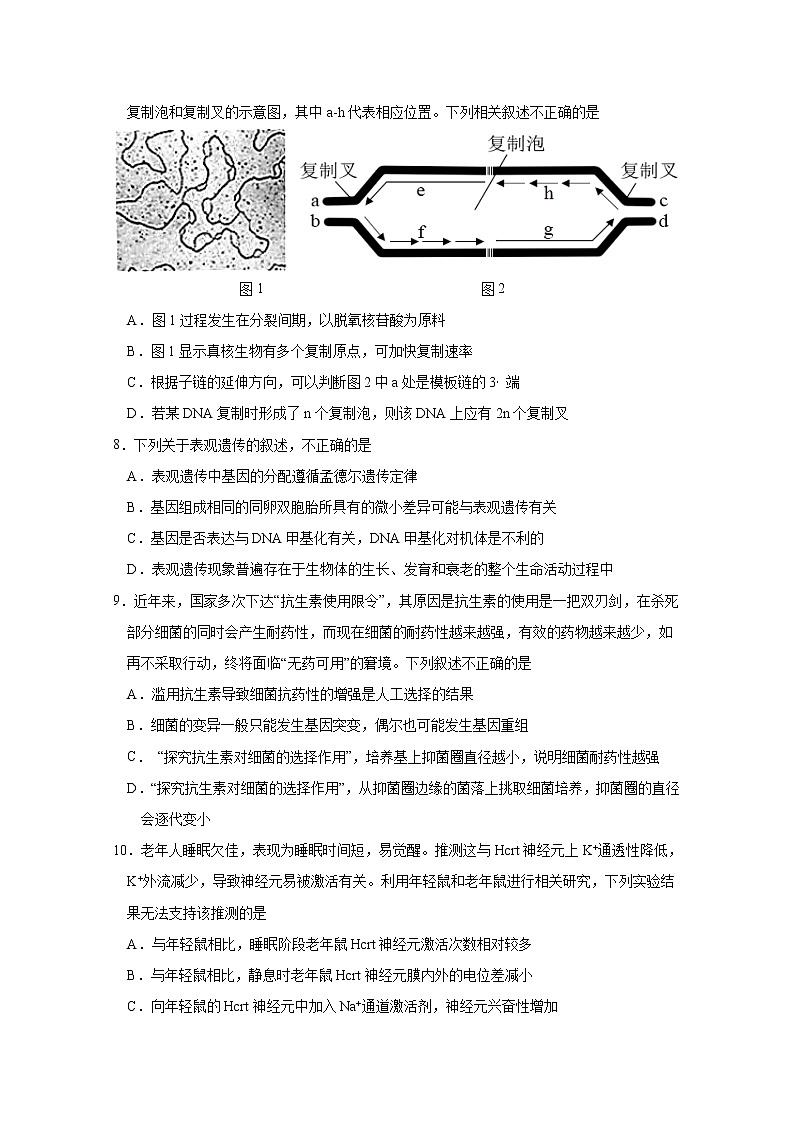 江苏省南通市海安高级中学2022-2023学年高三生物上学期第二次月考试题（Word版附答案）03