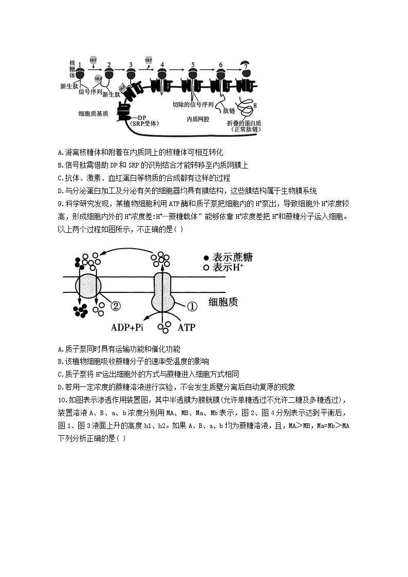 江西省抚州市临川一中2022-2023学年高三生物上学期第一次月考试题（Word版附答案）第3页