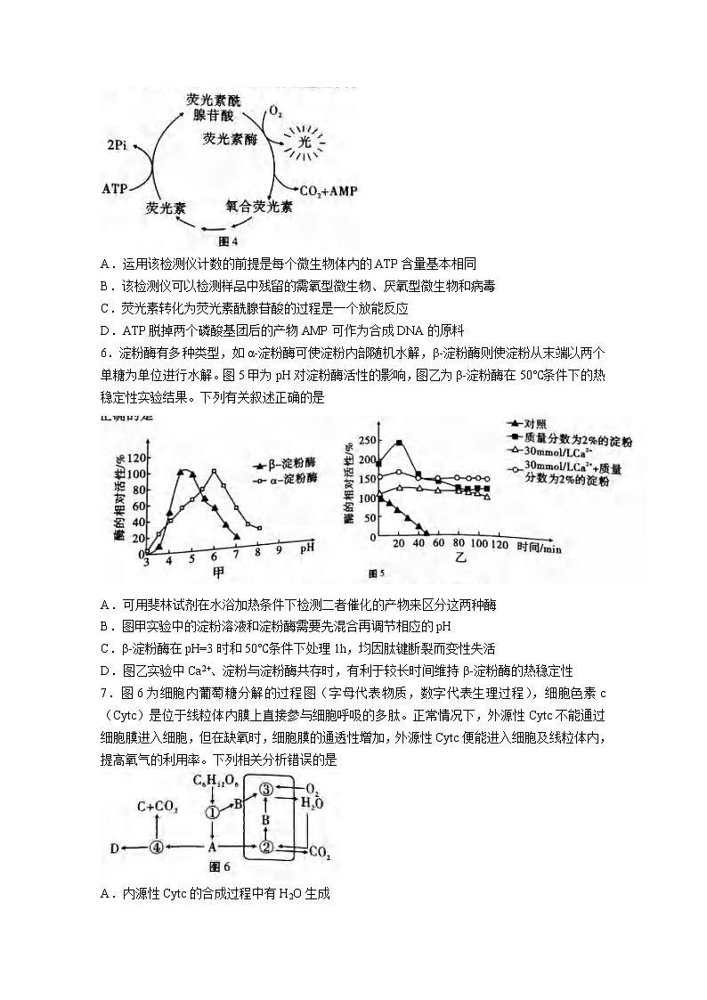 重庆市巴蜀中学2022-2023学年高三生物上学期适应性月考（三）（Word版附解析）第3页
