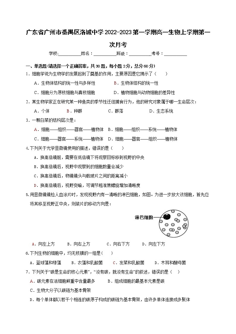 广东省广州市番禺区洛城中学2022-2023高一上学期第一次月考生物试题（含答案）01