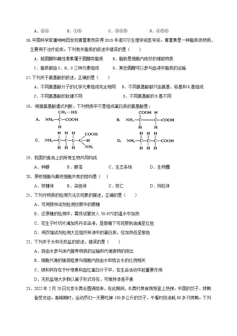 广东省广州市番禺区洛城中学2022-2023高一上学期第一次月考生物试题（含答案）03