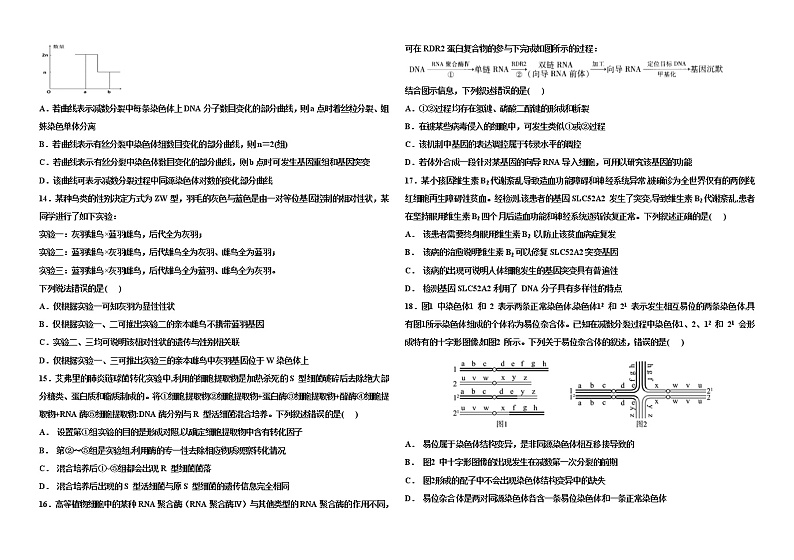 河南省洛阳市孟津一高2022-2023学年高三上期第二次月考生物试题(含答案)03