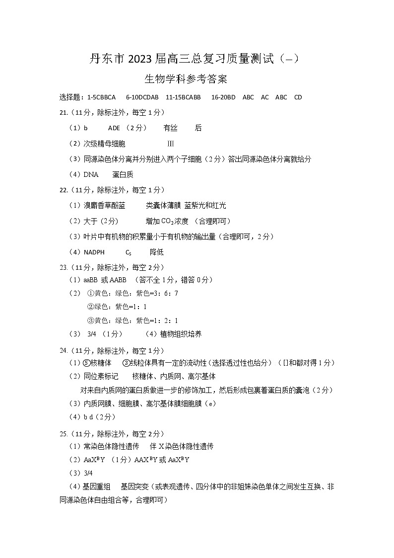 2023丹东高三总复习上学期第一次阶段测试生物PDF版含答案01